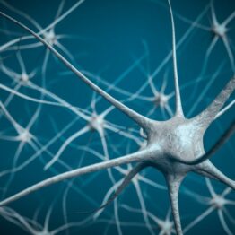 Neurons in brain, 3D illustration of neural network.